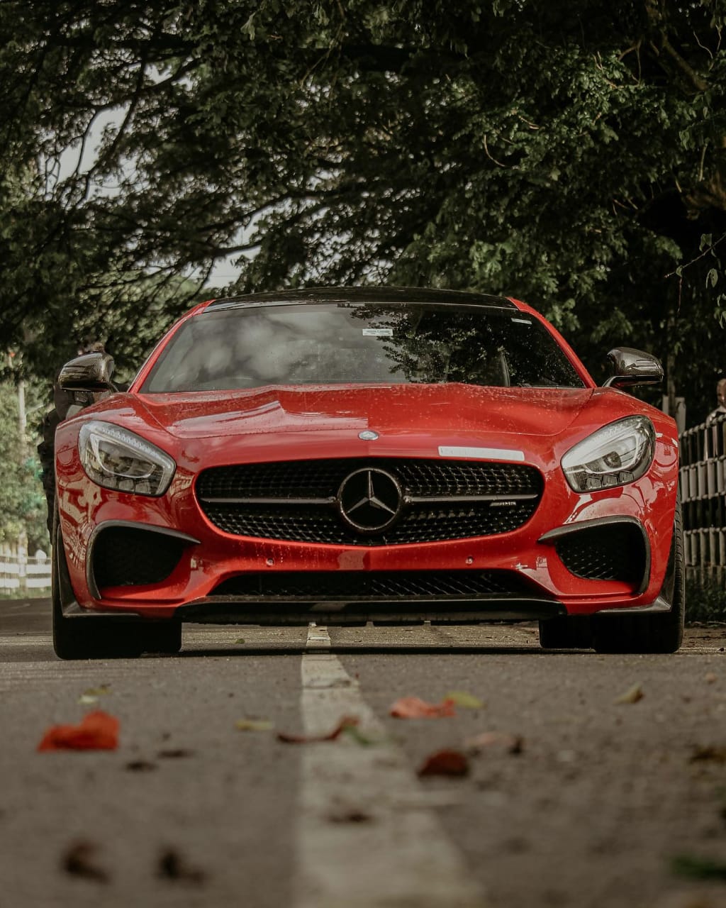 B factor digital marketing photography results